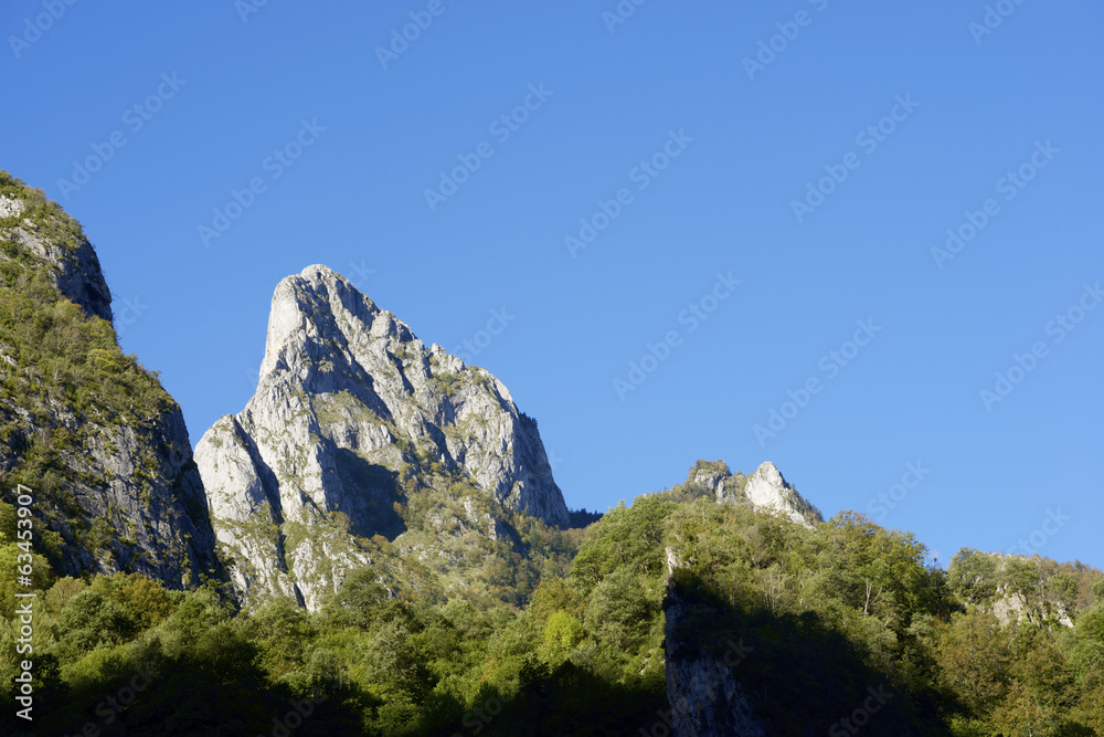 Obraz premium Pyrenees