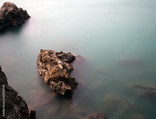 Rocky shoreline with gull and submerged rocks, silky water effec