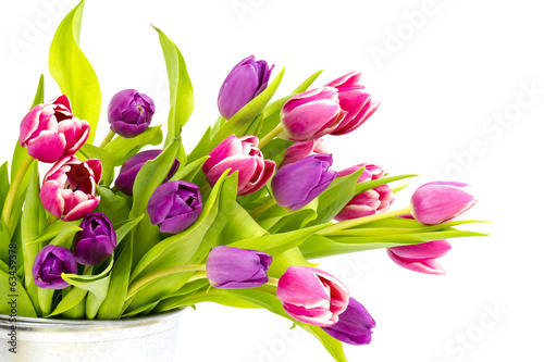 Fototapeta Naklejka Na Ścianę i Meble -  colourful tulips on white background