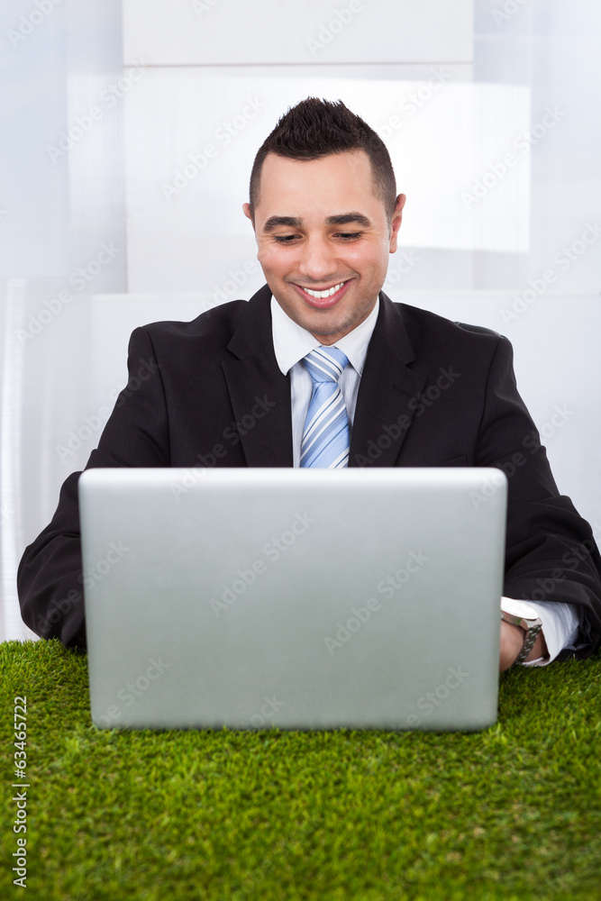 Businessman Using Laptop On Grass In Office Businessman Using Laptop On Grass In Office