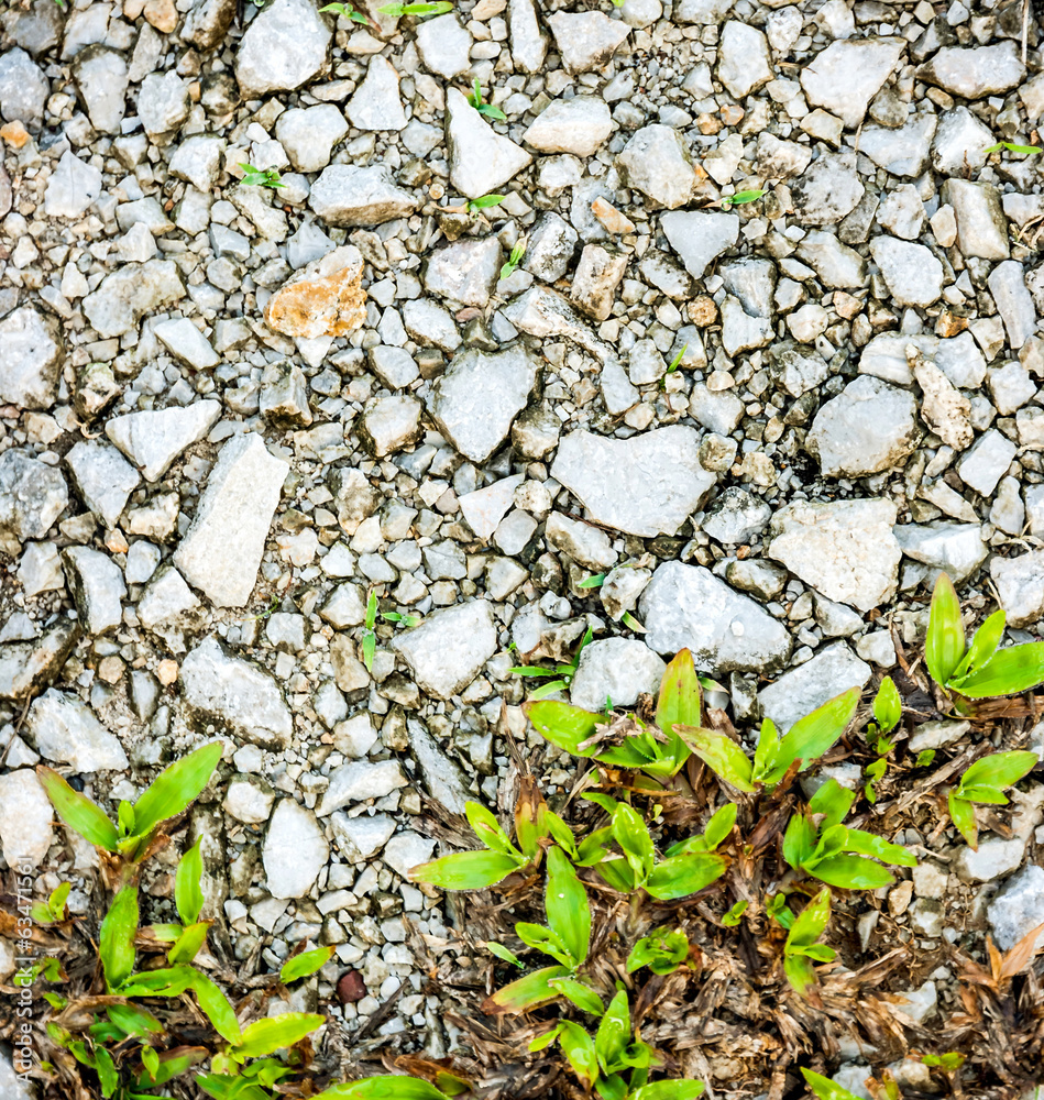 Stones with grass