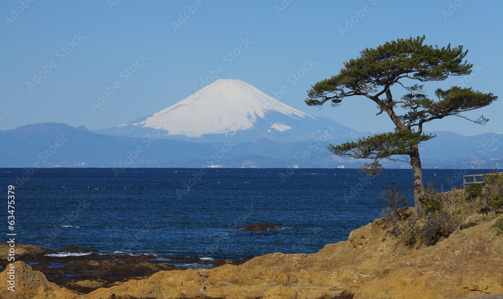 Fototapeta premium Mountain fuji and the ocean from sagami bay , yokosuka japan