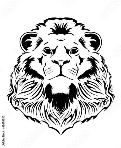 Fototapeta Naklejka Na Ścianę i Meble -  Lion head
