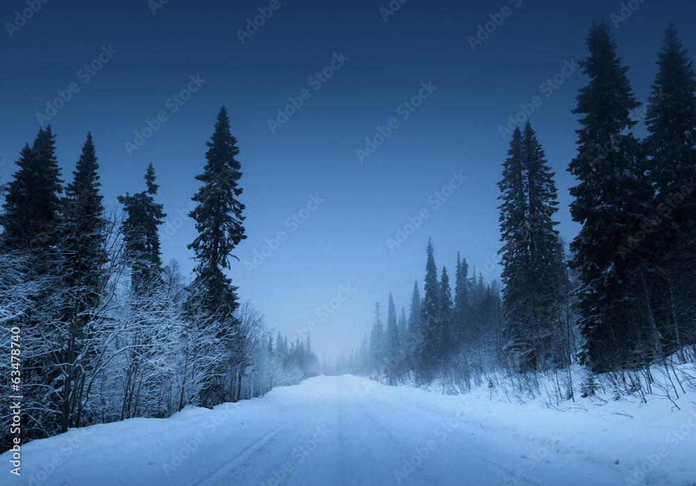 Obraz premium night road in winter forest