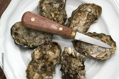 oysters on plate photo