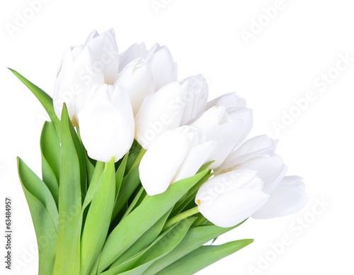 Fototapeta Naklejka Na Ścianę i Meble -  Beautiful bouquet of white tulips isolated on white