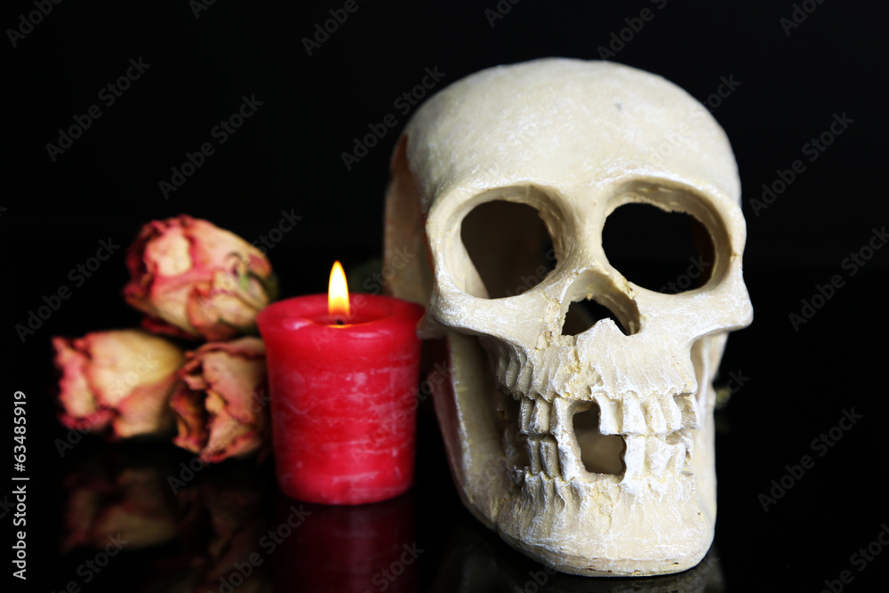 Composition with skull, candle and dried rose isolated on Composition with skull, candle and dried rose isolated on