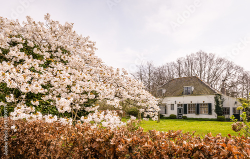Spring in the Netherlands #63490971