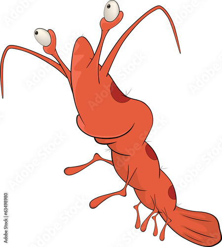 Red shrimp cartoon