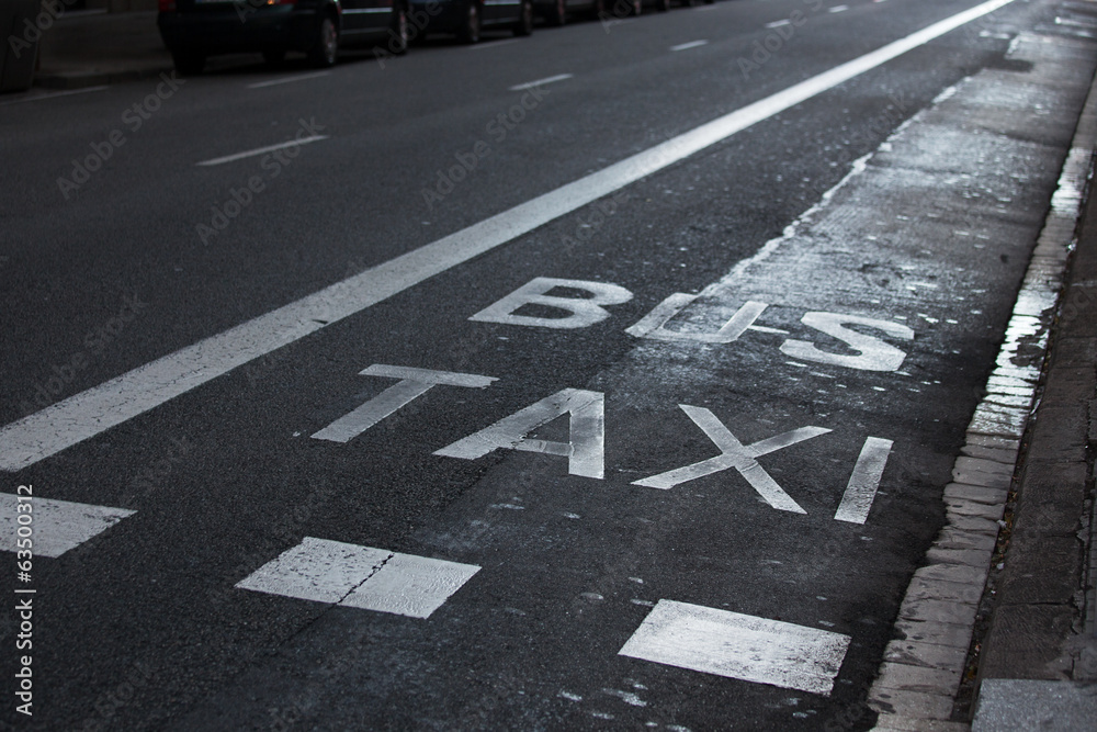 Inscriptions taxi and bus on the roadway