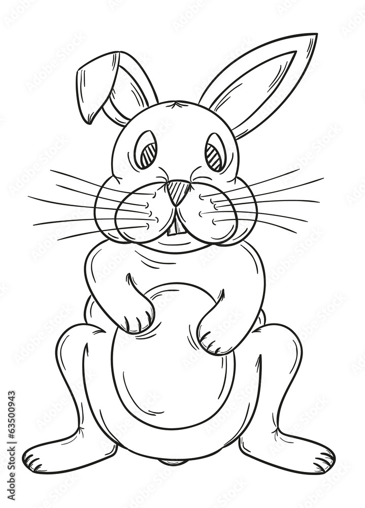 sketch of the rabbit sketch of the rabbit