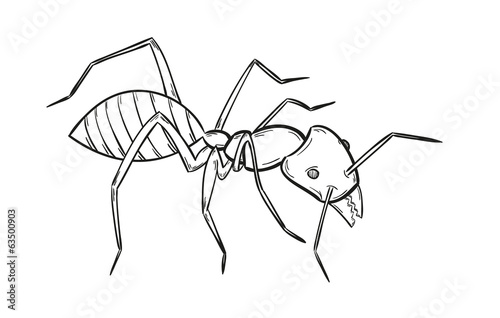 sketch of the ant