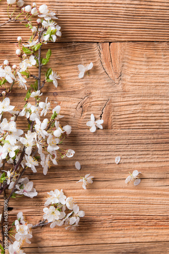 Spring blossoms on wood