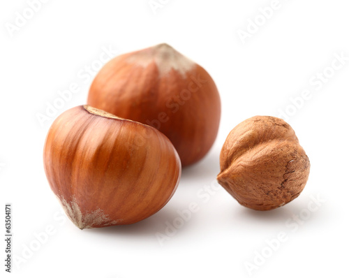 Filbert nuts