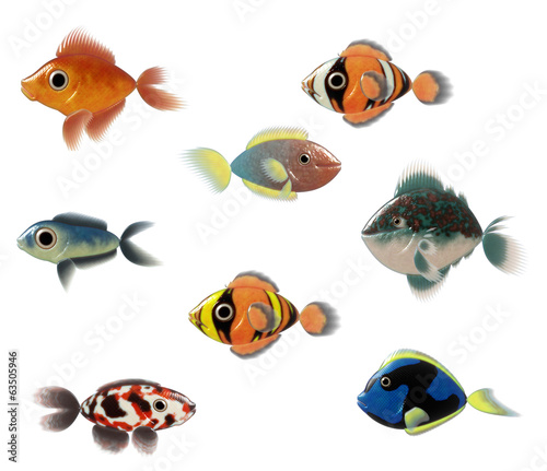Exotic Fishes