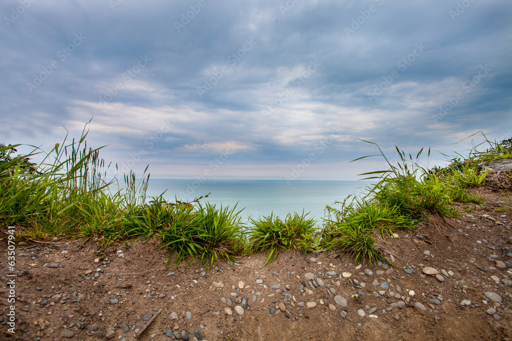 grass with stones and land background texture grass with stones and land background texture