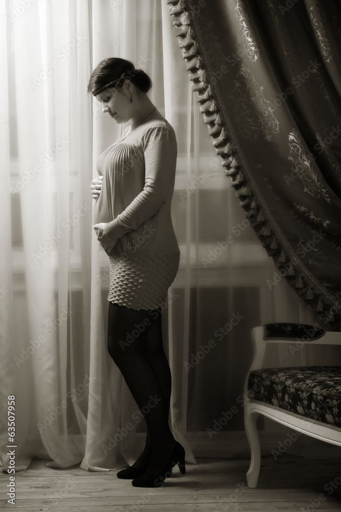 Fototapeta premium Pregnant female
