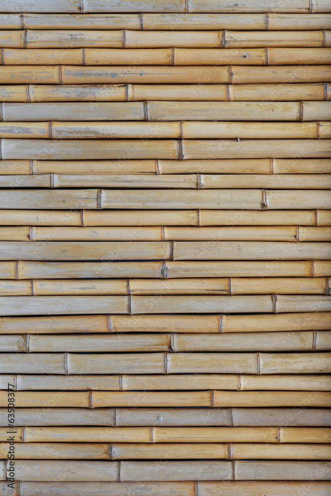 Fototapeta premium Bamboo