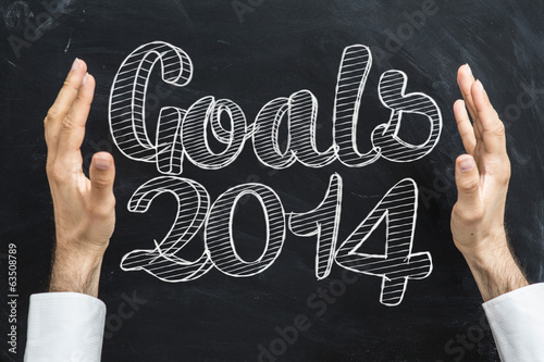 goals 2014