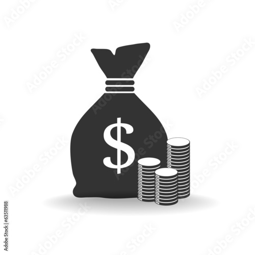 Money bag with coins