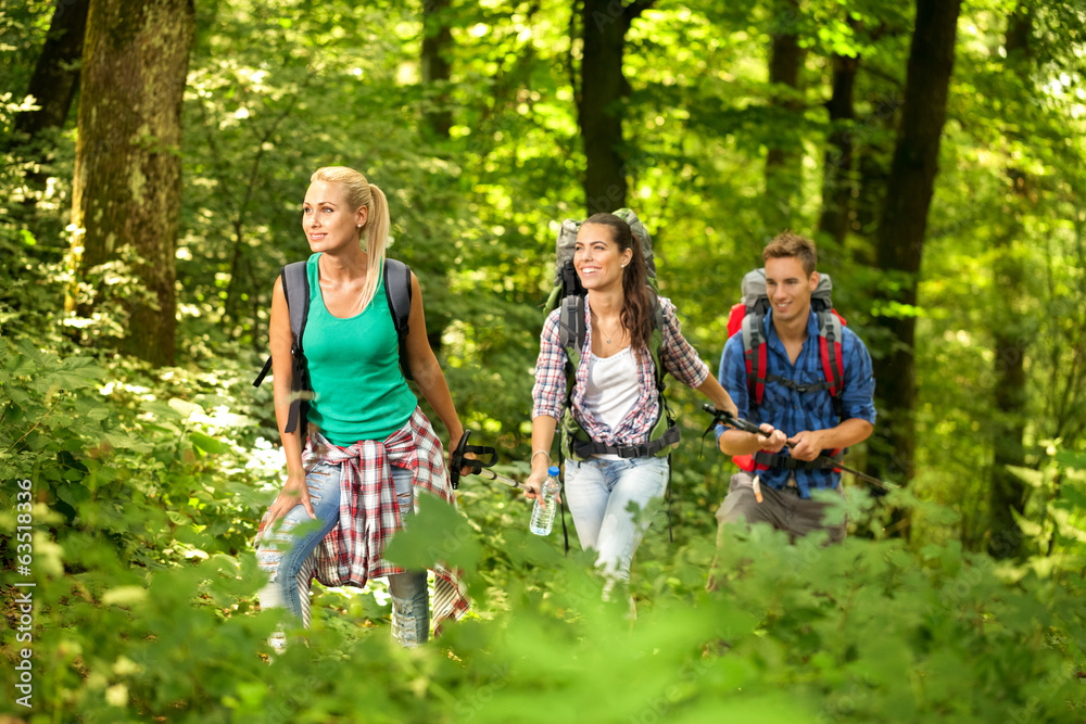 Fototapeta premium Young hiker in forest