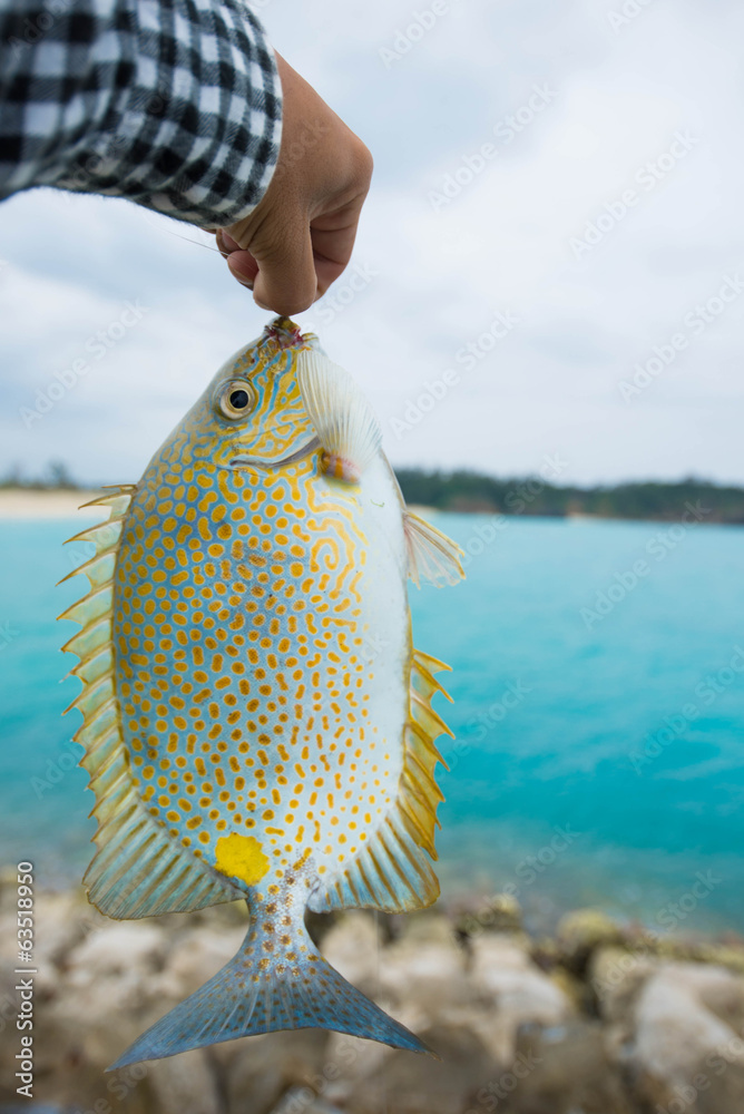 5 最適な カーエー 画像 ストック写真 ベクター Adobe Stock 5 最適な カーエー 画像 ストック写真 ベクター Adobe Stock