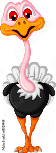 ostrich cartoon