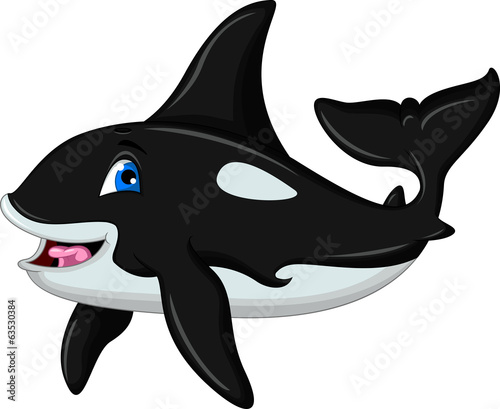 cute killer whale cartoon