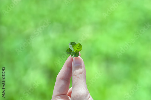 A Four Leaf Clover Held by a Young Girl's Hand