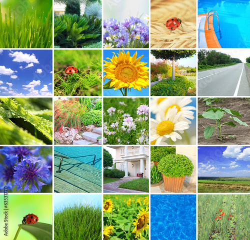 Fototapeta Naklejka Na Ścianę i Meble -  Collage of beautiful nature