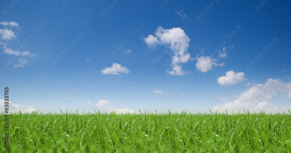Landschaft / Himmel / Gras - obrazy, fototapety, plakaty 