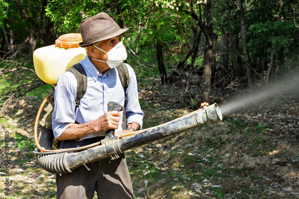Peasant spraying the trees with chemicals