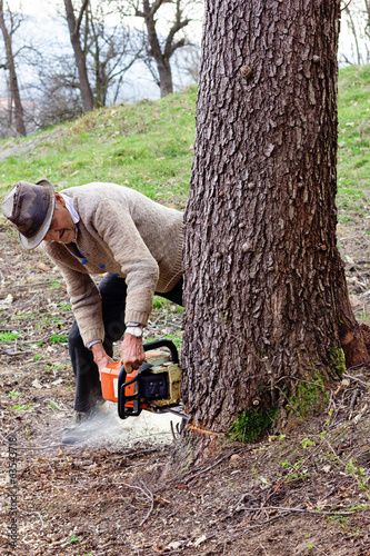 Old man cutting trees using an electrical chainsaw