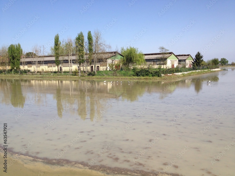 Campagna Campagna