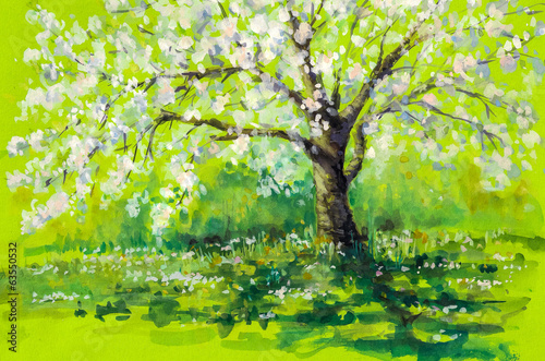 Cherry tree in spring.Watercolors