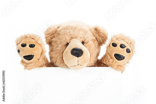 Happy teddy bear holding blank board © urmosilevente