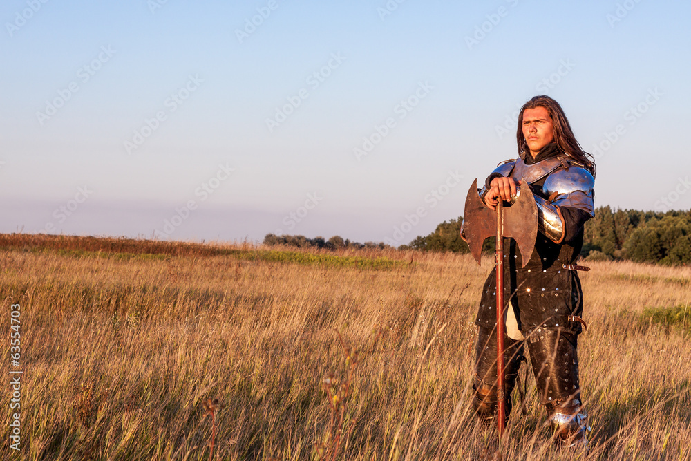 Medieval knight Medieval knight