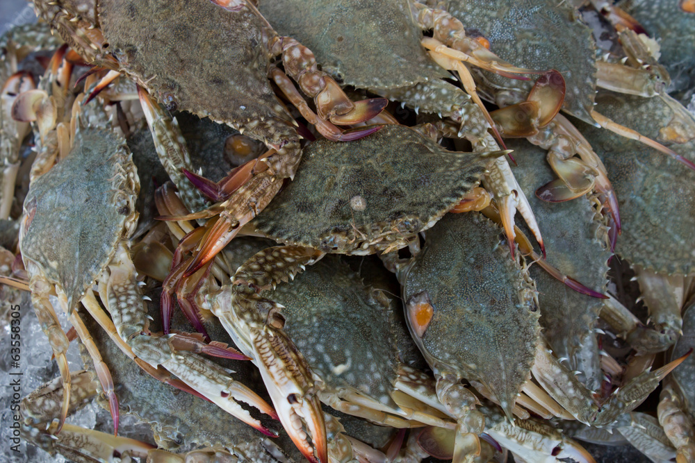 crab crab