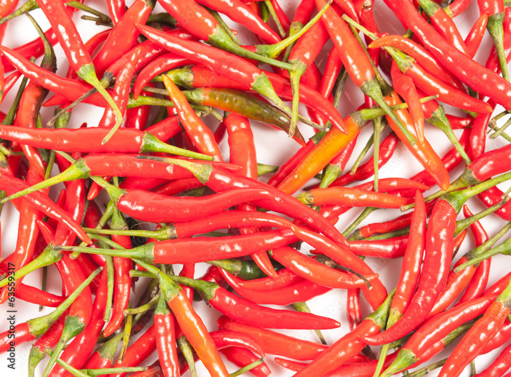 red hot chili pepper isolated on a white background red hot chili pepper isolated on a white background