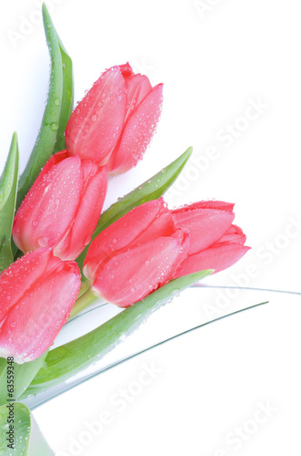 Fototapeta Naklejka Na Ścianę i Meble -  Spring Tulips