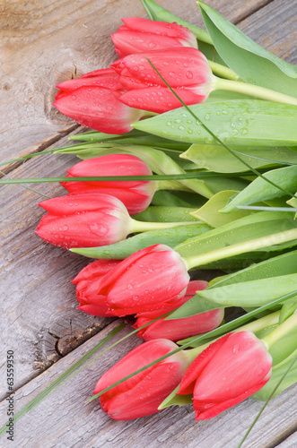 Fototapeta Naklejka Na Ścianę i Meble -  Spring Tulips