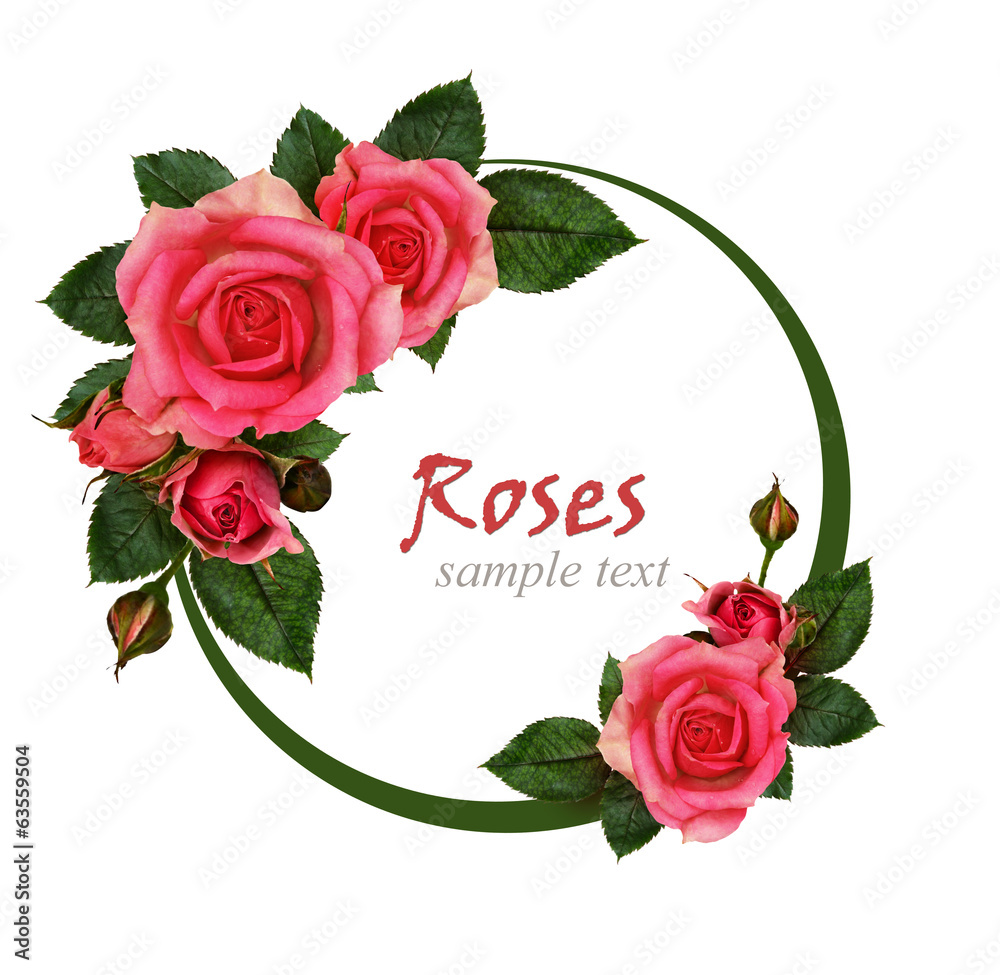 Fototapeta .Rose flowers composition and frame