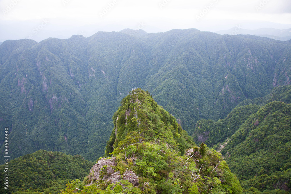 Naklejka premium Unique