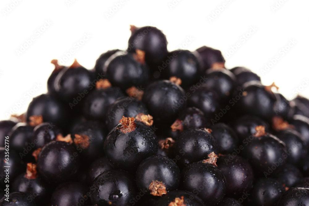 Fresh black currant on white background close-up Fresh black currant on white background close-up