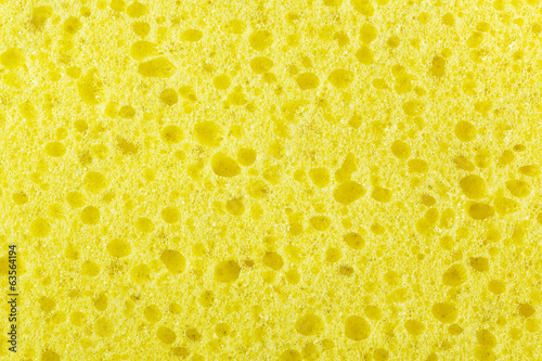 Photos yellow sponge