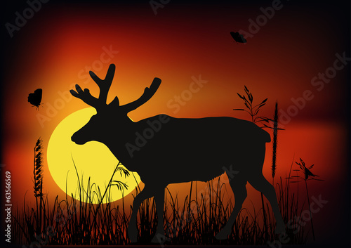 single deer at sunset illustration
