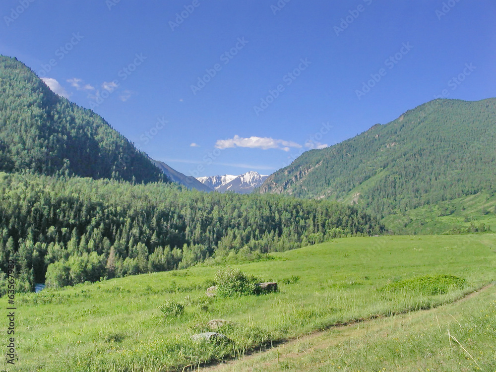 Mountains Altai