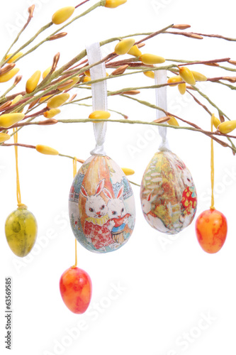 Colored easter eggs hanging from willow branches
