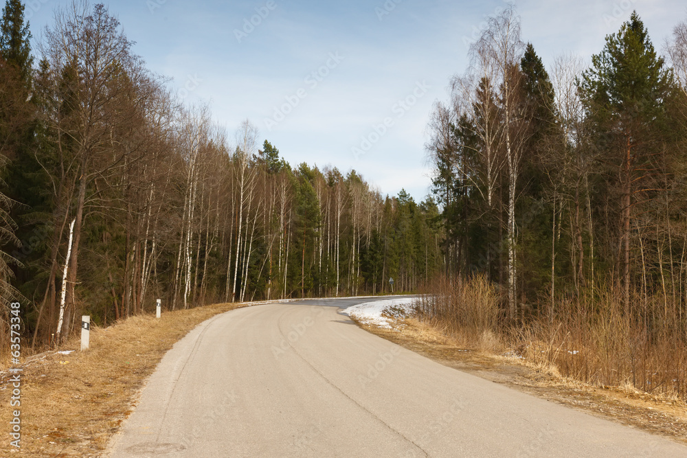 Obraz premium road in woodland