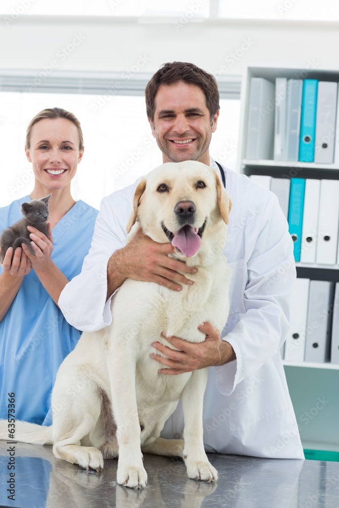 Veterinarians with dog and kitten